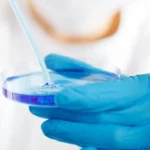 Do boimate ao lobo-terrível “revivido”: o sensacionalismo midiático na biotecnologia