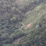 Fórum Internacional do Meio Ambiente coloca o bioma Pampa no centro dos debates